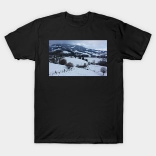 Gruyeres, Switzerland Winter View T-Shirt